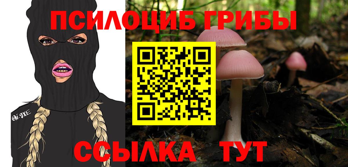 Галлюциногенные грибы прущие грибы  Вход с VPN  Жигулёвск 